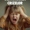 Gestionarea crizelor