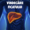 Secretele vindecarii ficatului